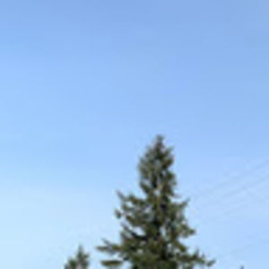 Meet your Posher, Nasir